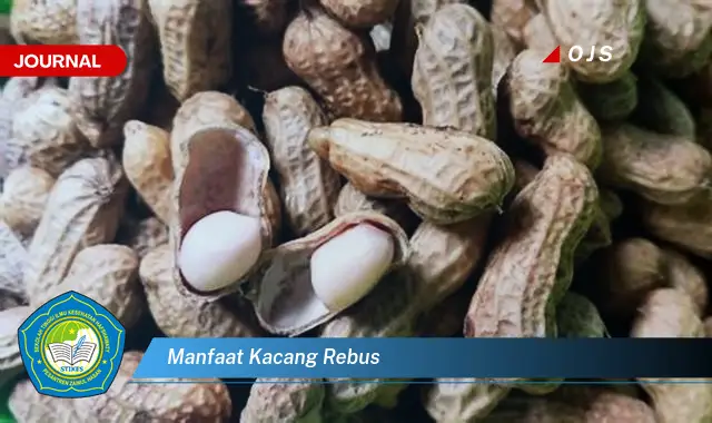 manfaat kacang rebus