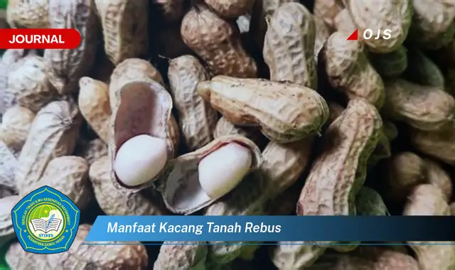 manfaat kacang tanah rebus