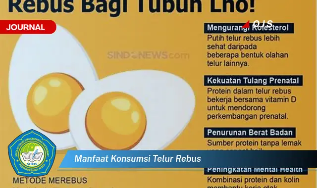 manfaat konsumsi telur rebus