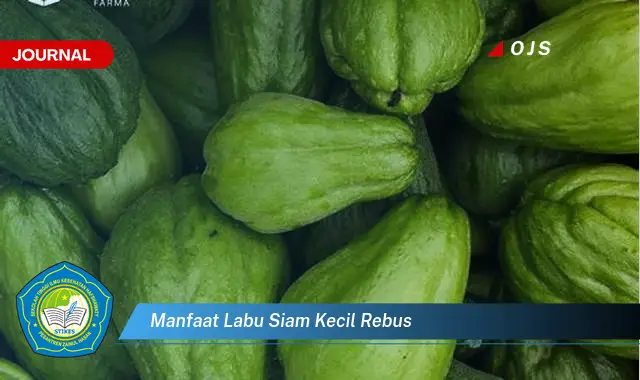 manfaat labu siam kecil rebus