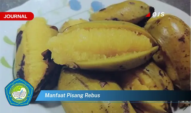 manfaat pisang rebus