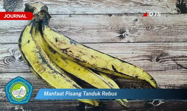 manfaat pisang tanduk rebus