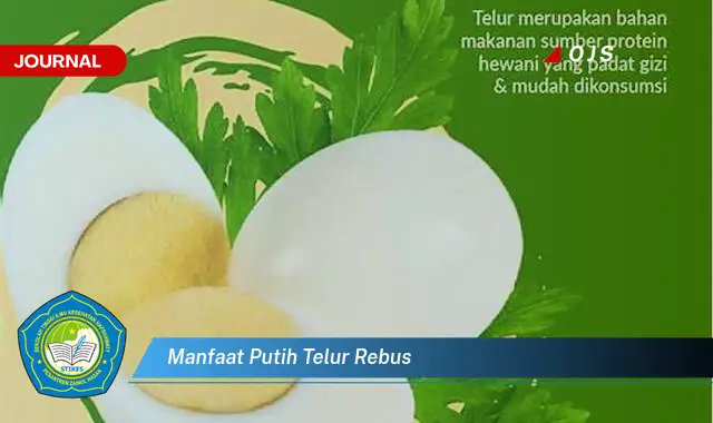 manfaat putih telur rebus