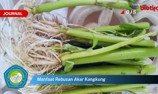 manfaat rebusan akar kangkung