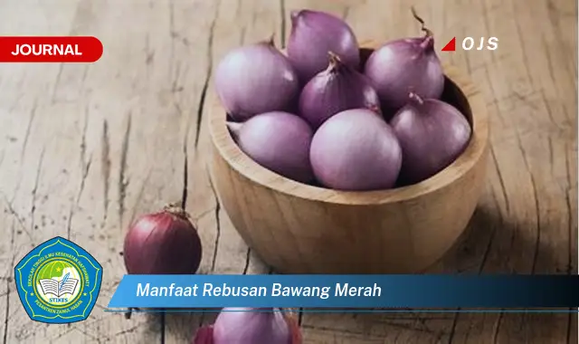 manfaat rebusan bawang merah