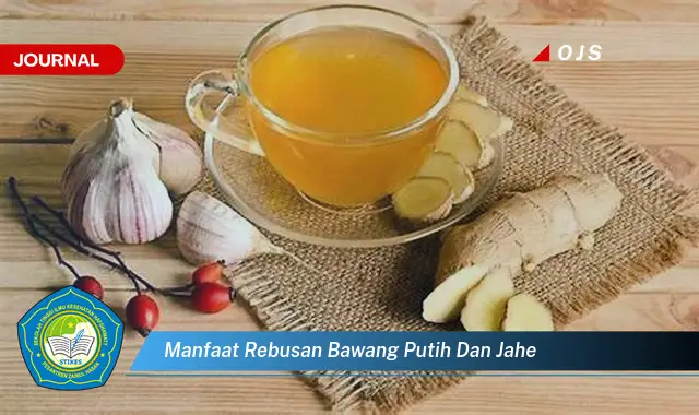 manfaat rebusan bawang putih dan jahe