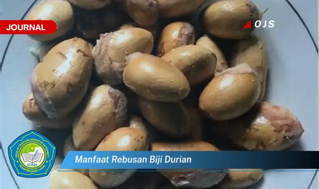 manfaat rebusan biji durian