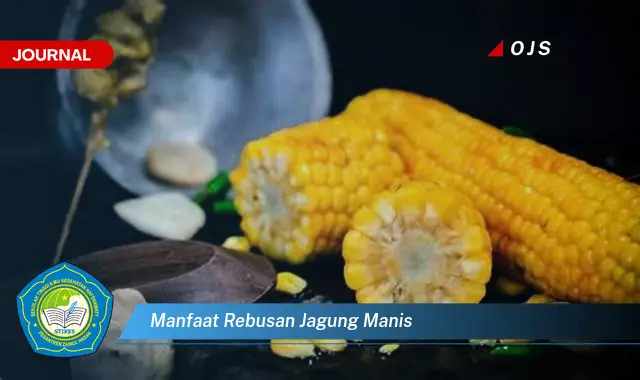 manfaat rebusan jagung manis