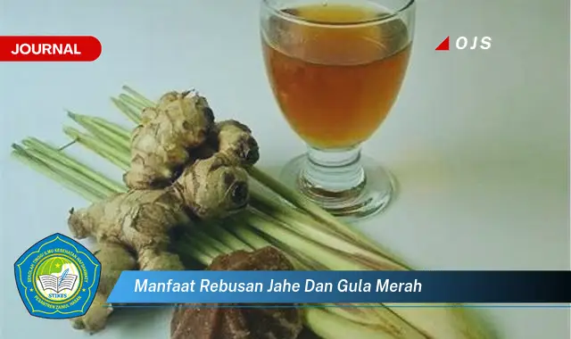 manfaat rebusan jahe dan gula merah