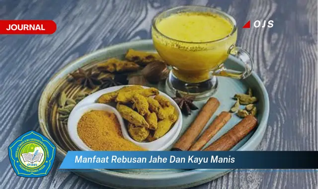 manfaat rebusan jahe dan kayu manis