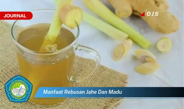 manfaat rebusan jahe dan madu