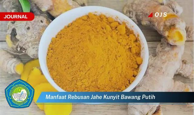 manfaat rebusan jahe kunyit bawang putih