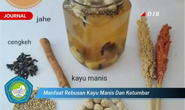 manfaat rebusan kayu manis dan ketumbar