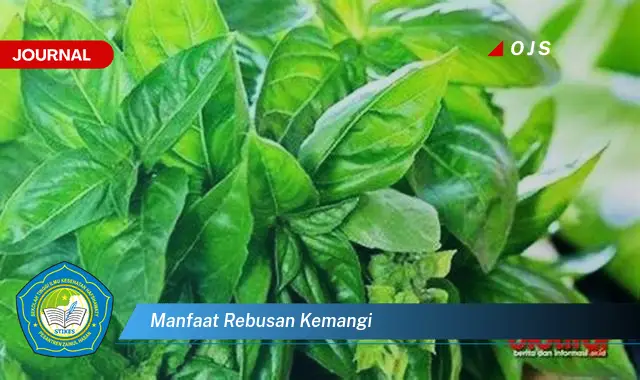 manfaat rebusan kemangi