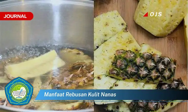 manfaat rebusan kulit nanas