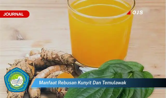 manfaat rebusan kunyit dan temulawak