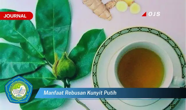 manfaat rebusan kunyit putih