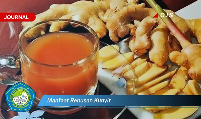 manfaat rebusan kunyit