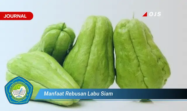 manfaat rebusan labu siam