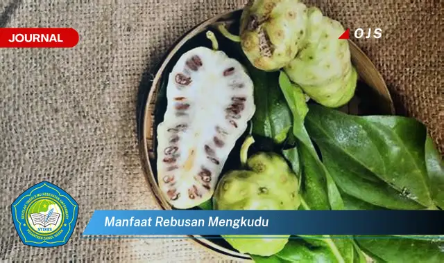 manfaat rebusan mengkudu