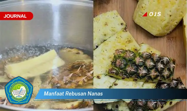 manfaat rebusan nanas