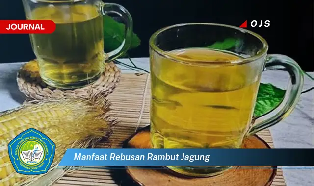 manfaat rebusan rambut jagung