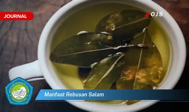 manfaat rebusan salam