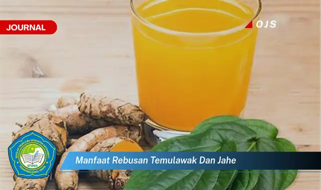 manfaat rebusan temulawak dan jahe