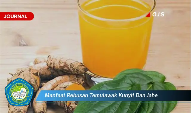 manfaat rebusan temulawak kunyit dan jahe