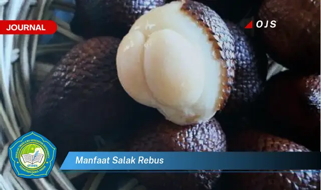 manfaat salak rebus