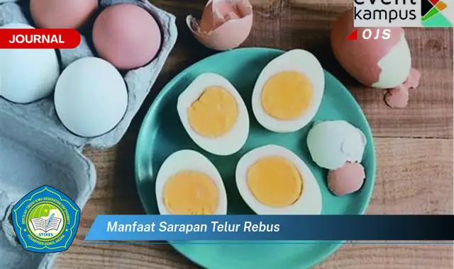 manfaat sarapan telur rebus