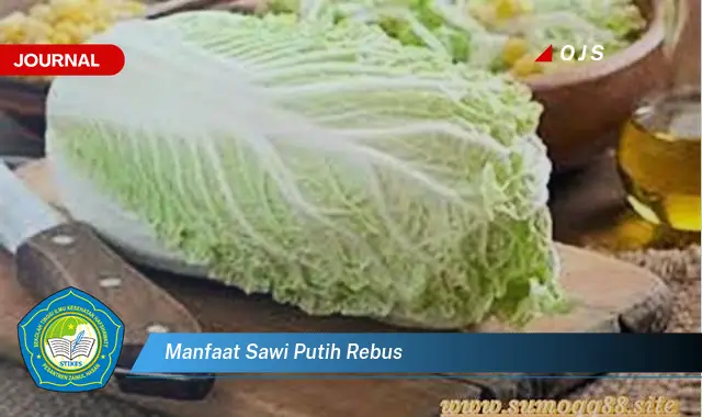 manfaat sawi putih rebus