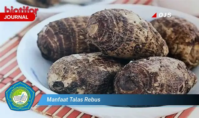 manfaat talas rebus