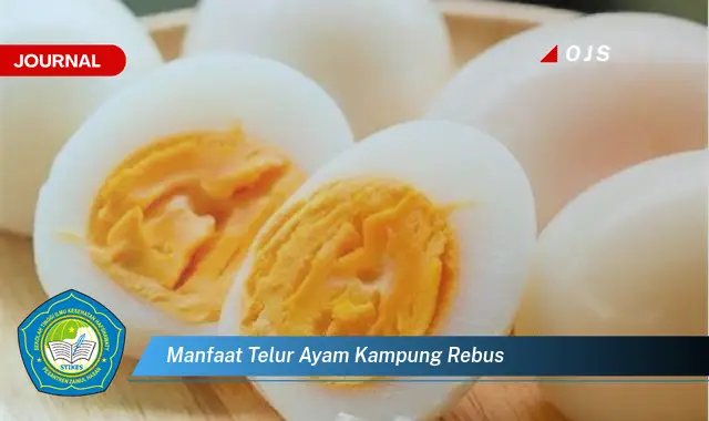 manfaat telur ayam kampung rebus