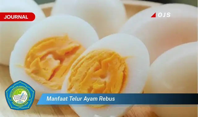 manfaat telur ayam rebus