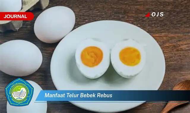 manfaat telur bebek rebus