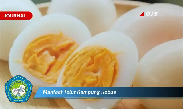 manfaat telur kampung rebus