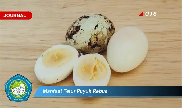 manfaat telur puyuh rebus