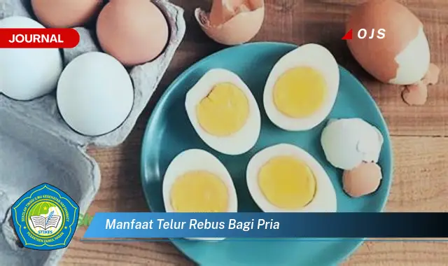 manfaat telur rebus bagi pria