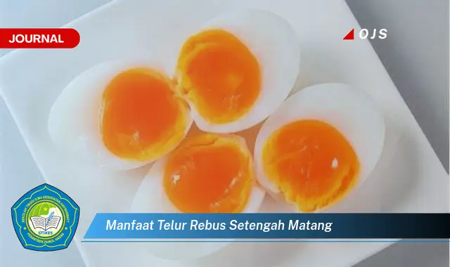 manfaat telur rebus setengah matang