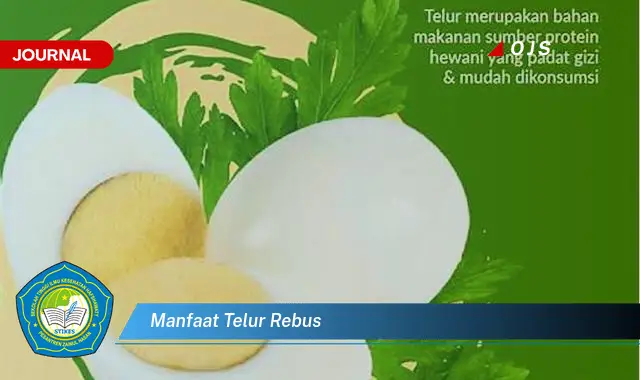 manfaat telur rebus