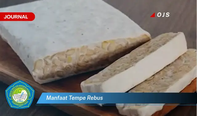 manfaat tempe rebus