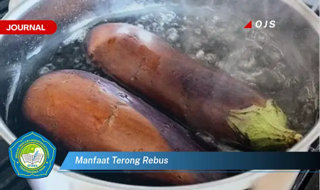 manfaat terong rebus