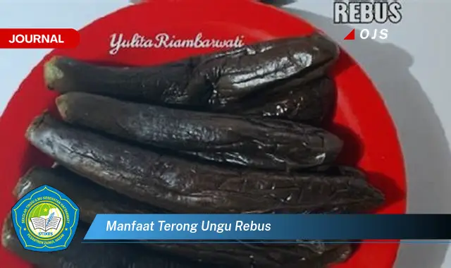 manfaat terong ungu rebus