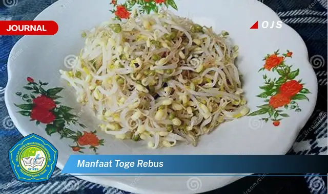 manfaat toge rebus