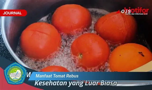 manfaat tomat rebus