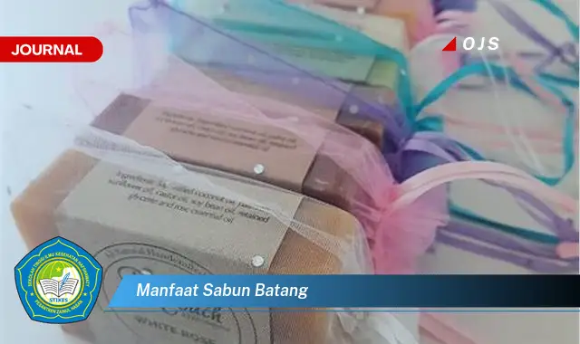 manfaat sabun batang
