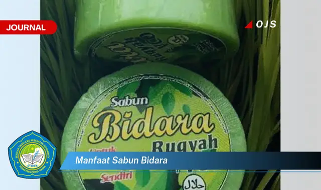 manfaat sabun bidara manfaat sabun bidara