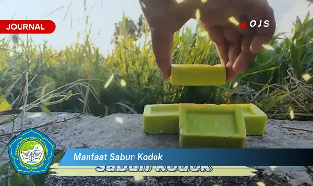 manfaat sabun kodok manfaat sabun kodok
