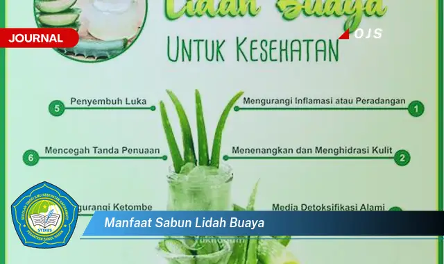 manfaat sabun lidah buaya